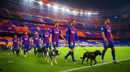 Ces 11 chiens stars de l'Espanyol Barcelone transforment le match contre Majorque en un spectacle animalier inoubliable et touchant