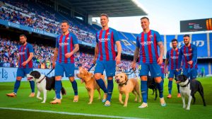 Avec 22 chiens sur le terrain : l’Espanyol Barcelone crée l’événement le plus émouvant de la Liga